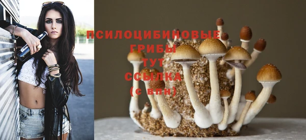 соль ск Михайловск