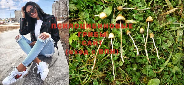 марки nbome Михайлов