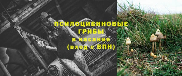 соль ск Михайловск
