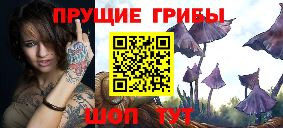 Галлюциногенные грибы Psilocybine cubensis Златоуст